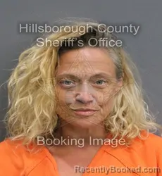 Mugshot of JESSICA LYNN DYE booked in Hillsborough County, Florida on June 4, 2026