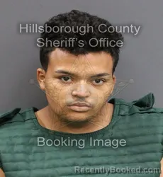 Mugshot of ETERNAL ROAM LEWIS booked in Hillsborough County, Florida on June 4, 2026