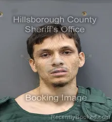 Booking photo from Hillsborough County, Florida