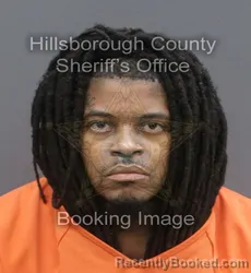 Mugshot of TRENT MADISON DIGGS booked in Hillsborough County, Florida on June 4, 2026