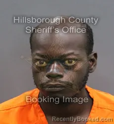Mugshot of OMAR RACHARD JERMAINE HENDERSON booked in Hillsborough County, Florida on June 4, 2026