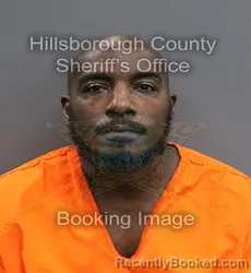 Mugshot of JAMES ALFRED JR HATCHER booked in Hillsborough County, Florida on June 4, 2026