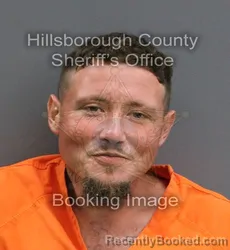 Mugshot of AUSTIN REGINALD PELKEY booked in Hillsborough County, Florida on June 4, 2026
