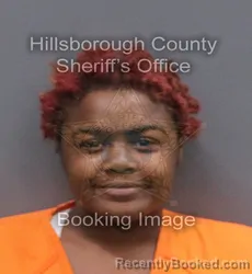 Mugshot of DEZIYA DENIA NAILS booked in Hillsborough County, Florida on June 5, 2026