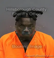 Mugshot of TYRESE LASHAWN BROOKS booked in Hillsborough County, Florida on June 5, 2026