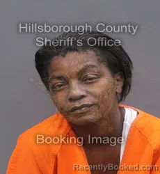 Mugshot of PAULETT LAVERNE HARDY booked in Hillsborough County, Florida on June 5, 2026