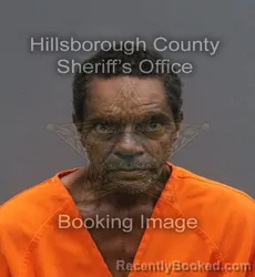 Mugshot of FRED MCKENLY STURGIS booked in Hillsborough County, Florida on June 5, 2026