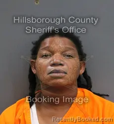 Mugshot of DOMENIQUE LATOYA HAYES booked in Hillsborough County, Florida on June 5, 2026