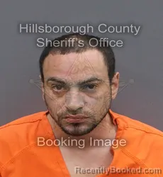 Mugshot of DANIEL LUIS MAHAMUD booked in Hillsborough County, Florida on June 5, 2026