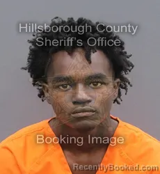 Mugshot of TYWONE TREMEL LASHAWN HARDY booked in Hillsborough County, Florida on June 5, 2026