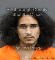 Mugshot of ANTONIO WAYNE PERRY booked in Hillsborough County, Florida on June 5, 2026