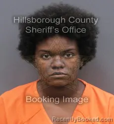 Mugshot of JAIPUR NYZSAADA HORTON booked in Hillsborough County, Florida on June 5, 2026