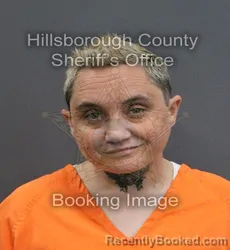 Mugshot of SHARON ELAINE YOUNG booked in Hillsborough County, Florida on June 5, 2026