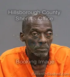 Mugshot of TIMOTHY TIM booked in Hillsborough County, Florida on June 5, 2026