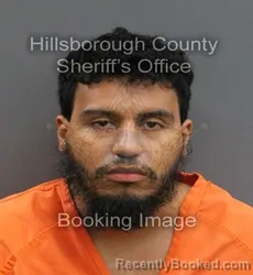 Mugshot of JOSE ERNESTO VACA booked in Hillsborough County, Florida on June 5, 2026