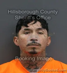 Mugshot of LOUIS AGUILAR booked in Hillsborough County, Florida on June 5, 2026