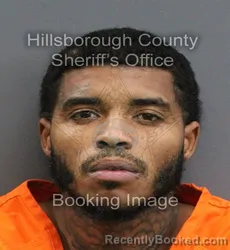 Mugshot of STARSKY ANTONIO MITCHELL booked in Hillsborough County, Florida on June 5, 2026
