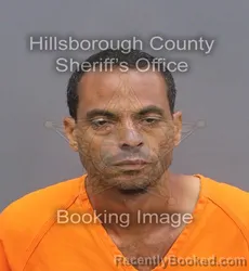 Mugshot of WILLIE DECOSTA HENDRY booked in Hillsborough County, Florida on June 5, 2026