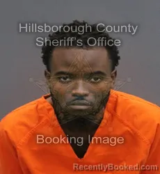 Mugshot of NELSON CARLOS MONTAS booked in Hillsborough County, Florida on June 5, 2026
