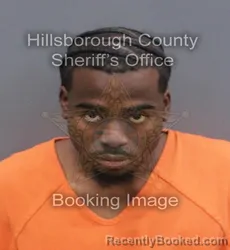 Mugshot of LAURENTZ GASHLEY SIMPREVIL booked in Hillsborough County, Florida on June 5, 2026