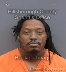 Mugshot of DEMETRIUS LAMONT MALOY booked in Hillsborough County, Florida on June 5, 2026