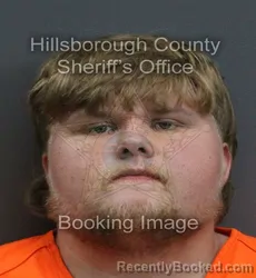 Mugshot of CAYDEN SHANE MCDOWELL booked in Hillsborough County, Florida on June 5, 2026