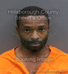 Mugshot of JAMES ALEXANDER JR ROBINSON booked in Hillsborough County, Florida on June 5, 2026
