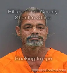 Mugshot of JOSE ORLANDO FERNANDEZ ROSARIO booked in Hillsborough County, Florida on June 5, 2026