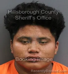 Mugshot of ELIAS DIAZJIMENEZ booked in Hillsborough County, Florida on June 5, 2026