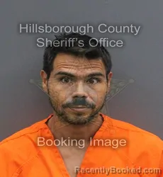 Mugshot of GIANFRANCO MESCHISI SERRANO booked in Hillsborough County, Florida on June 5, 2026