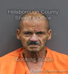 Mugshot of JORGE LUIS SALADO booked in Hillsborough County, Florida on June 5, 2026