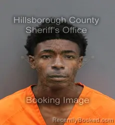 Mugshot of JIMMY LEE III BOGAN booked in Hillsborough County, Florida on June 5, 2026