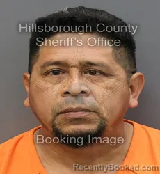 Mugshot of WILMAN NAVAS GONZALEZ