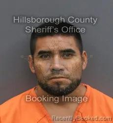 Mugshot of PAULINO JAVIER NAVARRETE DE LA CRUZ booked in Hillsborough County, Florida on June 5, 2026