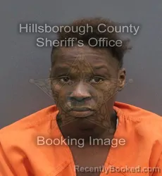 Mugshot of KAMERON N DONALSON booked in Hillsborough County, Florida on June 5, 2026