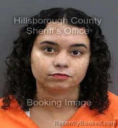 Mugshot of AURORA ISABELLE SMITH booked in Hillsborough County, Florida on June 5, 2026