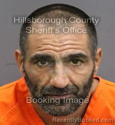 Mugshot of RAMON ALBERTO LUGO booked in Hillsborough County, Florida on June 5, 2026