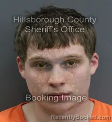 Mugshot of GAGE CHARLES GRAVITT booked in Hillsborough County, Florida on June 5, 2026