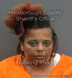 Mugshot of ERICA NICOLE WALTERS booked in Hillsborough County, Florida on June 5, 2026