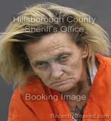 Mugshot of BILLIE JO CASEY booked in Hillsborough County, Florida on June 5, 2026