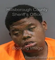 Mugshot of AARIEAL BERNYA LITTLE booked in Hillsborough County, Florida on June 5, 2026