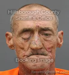 Mugshot of KIM DALE JONES