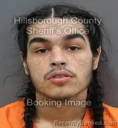 Mugshot of DEVON LUIS MARTINEZ