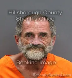 Mugshot of JOE JR DEESE booked in Hillsborough County, Florida on June 6, 2026