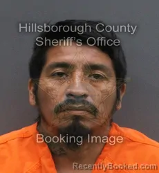 Mugshot of MARCELO FIERRO MACARIO booked in Hillsborough County, Florida on June 6, 2026