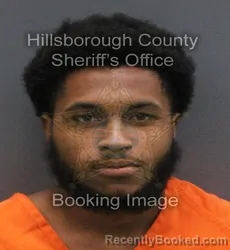 Mugshot of KALEB KEON WILSON booked in Hillsborough County, Florida on June 6, 2026