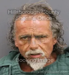 Mugshot of ANDRES PAGAN DE NAZARIO booked in Hillsborough County, Florida on June 6, 2026