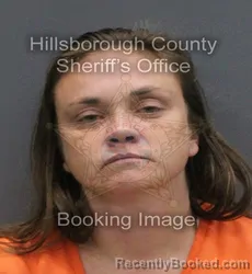 Mugshot of BRITTANY NICOLE DANIEL booked in Hillsborough County, Florida on June 6, 2026