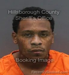 Mugshot of MICHAEL ANTHONY III ZEIGLER booked in Hillsborough County, Florida on June 6, 2026