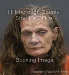 Mugshot of JODI KAY CARR booked in Hillsborough County, Florida on June 6, 2026